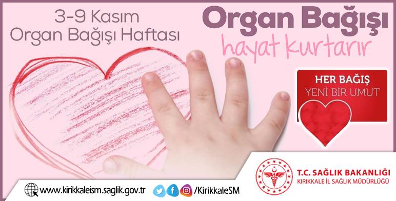 organ bağışı görsel.jpg